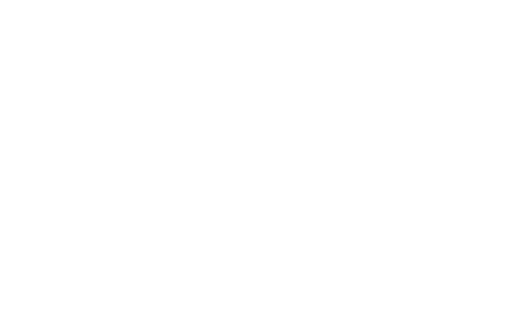LGFA Logo